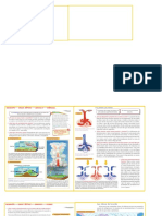 Geogradia 6