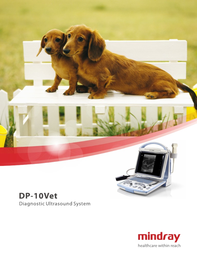 DP-10Vet Brochure V2.0 - 130703 | PDF