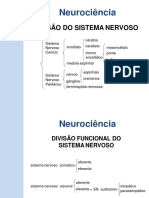 divisão do sistema nervoso