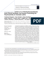 Structure and Function of Δ1-Tetrahydrocannabinolic Acid (THCA) Synthase, the Enzyme Controlling the Psychoactivity of Cannabis sativa