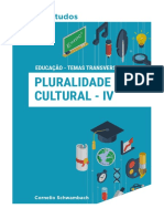 Pluraridade Cultural 4