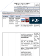 Proyecto 1 1BGU Microcurricular