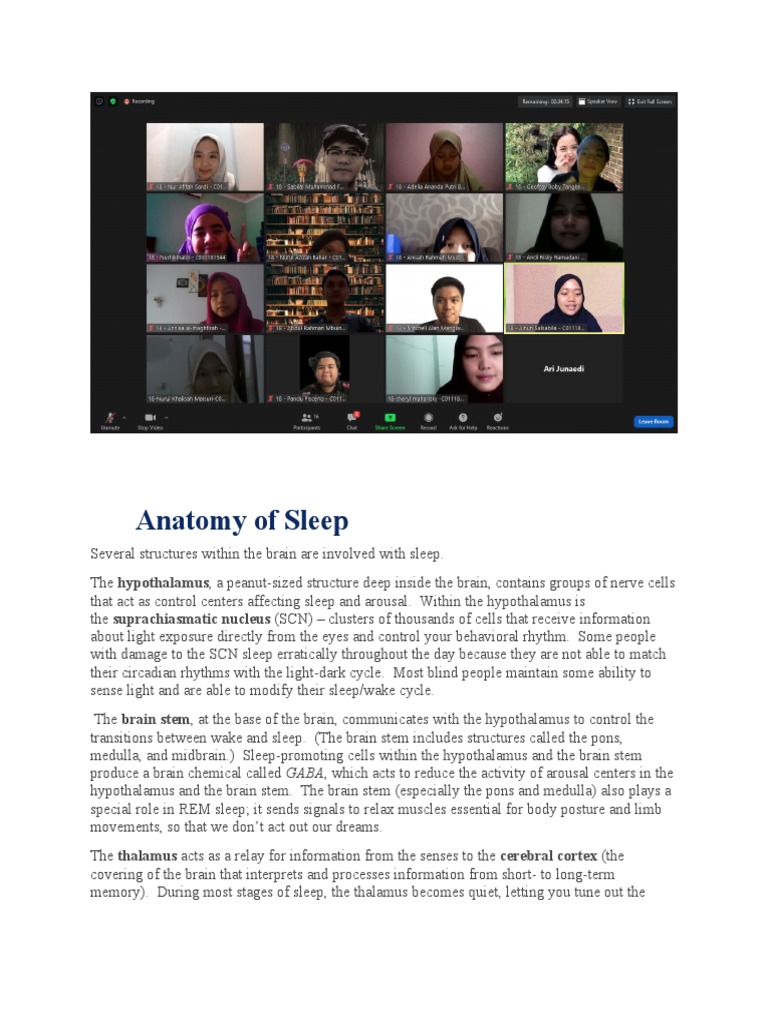 Anatomy of Sleep | PDF | Brain | Sleep