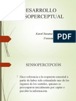 Desarrollo Sensoperceptual Escala Karol