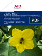 RED Manual Produccion Pepino 04 07