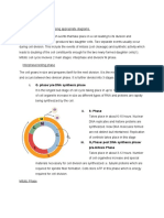 I. G Phase/ Pre DNA Synthesis Phase