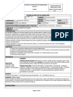 Ruiz.M 3726 Informe de Sistemática Vegetal.