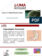 Sesion 14 Analisis I