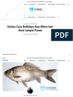 Urutan Cara Budidaya Ikan Nilem dari Awal sampai Panen - Trikmerawat.com