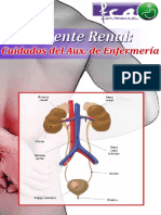 Curso Paciente Renal. Cuidados Aux de Enfermería