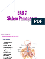 Bab 7 S Pernapasan