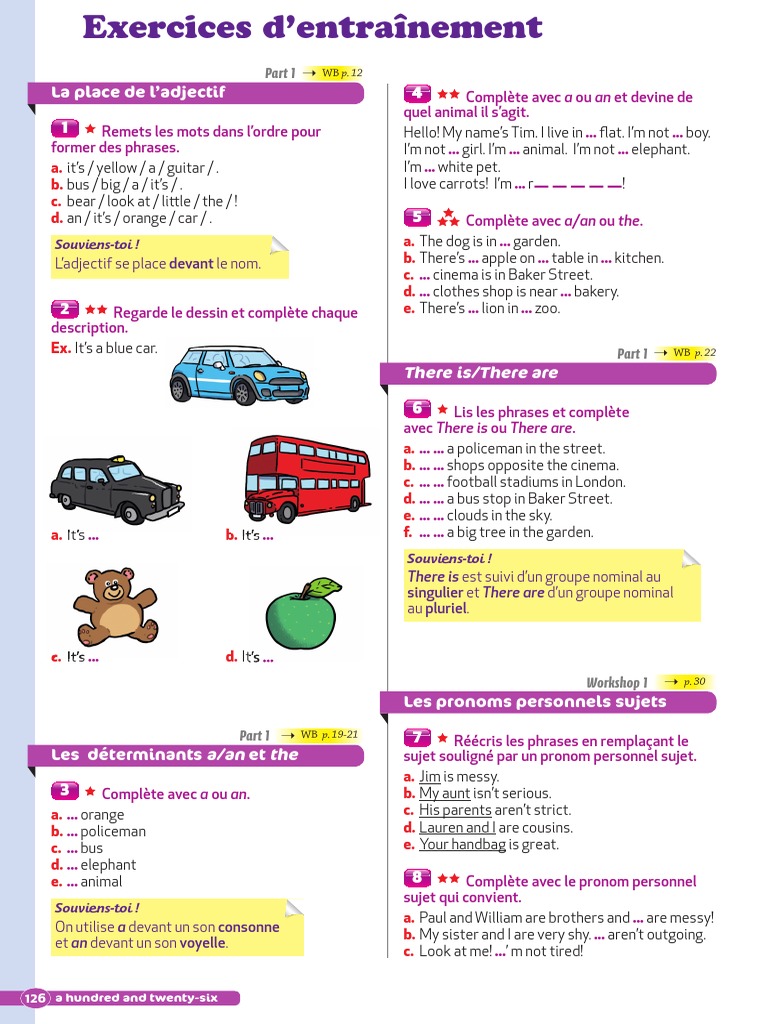 Exercices Homophones Grammaticaux 6ème Pdf Exercices Entraînement SE 6ème | PDF | Pronom | Nombre grammatical