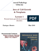 Disorders of Cell Growth & Neoplasia: General Pathology VPM 152