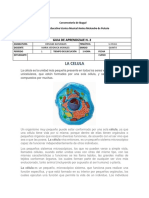 Guia Celula PDF