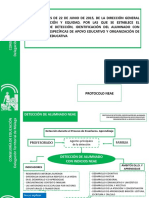 Presentación Protocolo-Neae Diapositivas-Reducidas 22-06-2015
