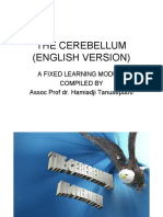 Proff Ham THE CEREBELLUM (ENGLISH)