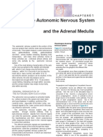 Human Anatomy - Autonomic Nervous System