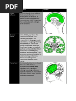 Name Corpus Callosum: Function Location