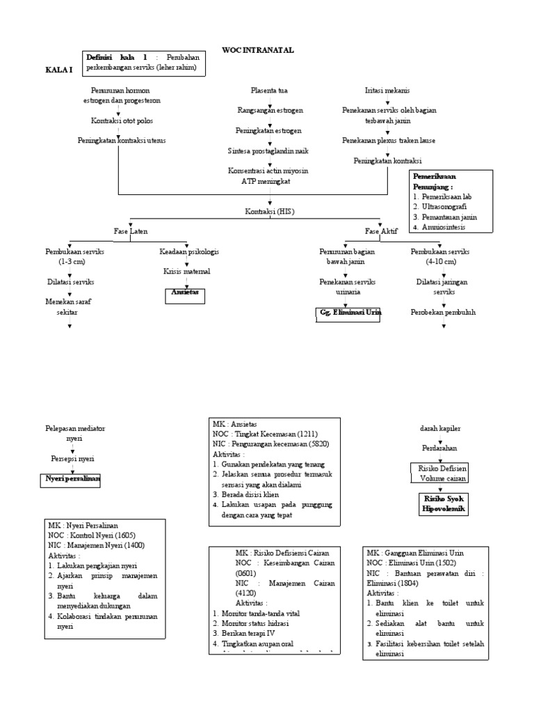 Proses dan Manajemen Intranatal Care | PDF