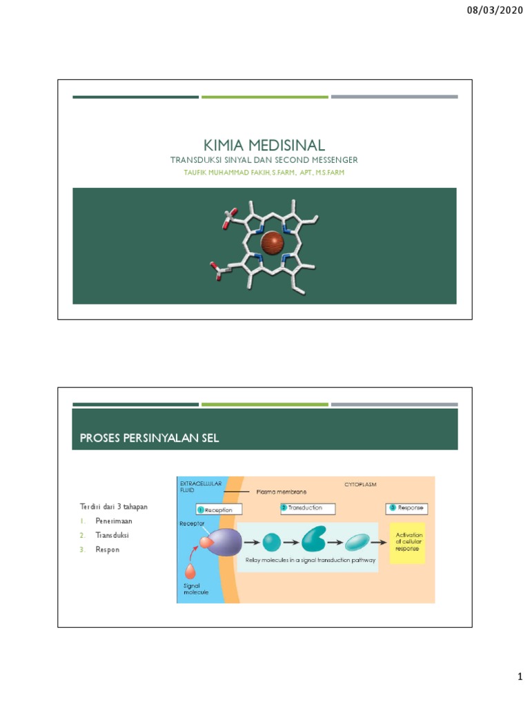 Kimia Medisinal - Transduksi Sinyal Dan Second Messenger | PDF ...