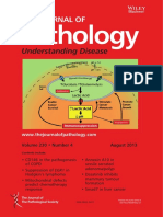 The Journal of Pathology Volume 230 Issue 4 (Doi 10.1002 - Path.2013.230.issue-4)