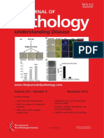 The Journal of Pathology Volume 231 Issue 4 (Doi 10.1002 - Path.2013.231.issue-4)