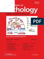 The Journal of Pathology Volume 232 Issue 5 (Doi 10.1002 - Path.2014.232.issue-5)