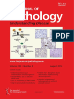 The Journal of Pathology Volume 233 Issue 4 (Doi 10.1002 - Path.2014.233.issue-4)