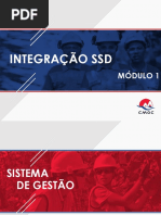 Integracao SSD Goiás