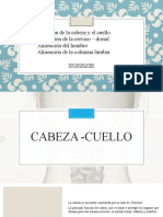 Exposición Analisis Postural Cervicales A Sacro