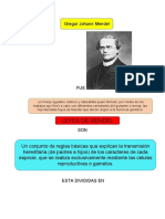 Mapa Conceptual Leyes de Mendel