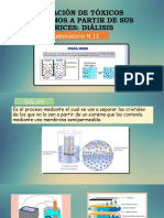 Practica n.11 Separación de Tóxicos Cristalinos