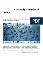 No, It's Not Actually A Murder of Crows