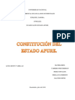 Analisis Constitucion Del Estado Apure