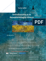 Curso-Taller Fenomenologia Clinica Latam