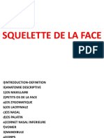 Les Os de La Face