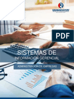 Sistemas de Informacion Gerencial 2020