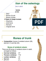 2.bones of Trunk & Limbs