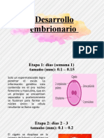 Desarrollo Embrionario