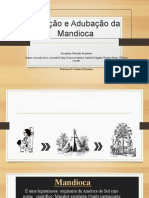 Nutrição e Adubação Da Mandioca - Amanda