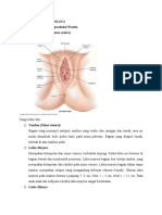 Anatomi Dan Fisiologi Apn