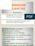 Plantae 1