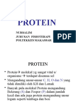 protein fisioterapi