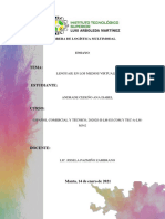 Ensayo - Lenguaje en Los Medios Virtuales