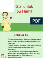 Gizi Seimbang untuk Ibu Hamil