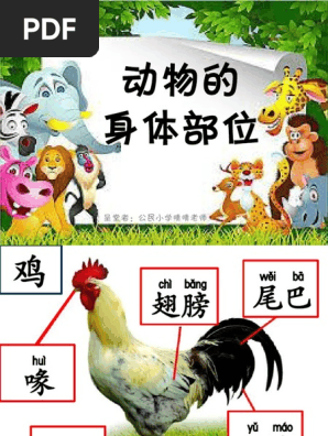 动物的身体部位名称 Pdf
