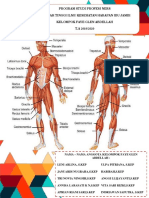 Poster Anatomi Otot Faye