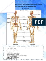 Poster Anatomi Tulang