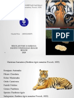 Naufal Fikri - E3501202007 - PPT Dispersal Dan Upaya Konservasi Harimau Sumatera