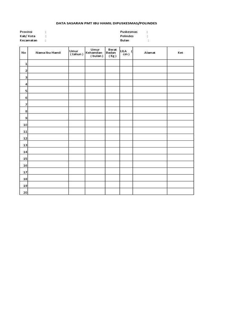 Format PMT Ibu Hamil Dan Balita BISKUIT | PDF